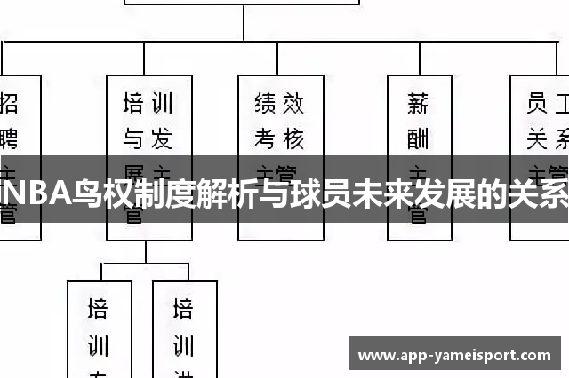 NBA鸟权制度解析与球员未来发展的关系