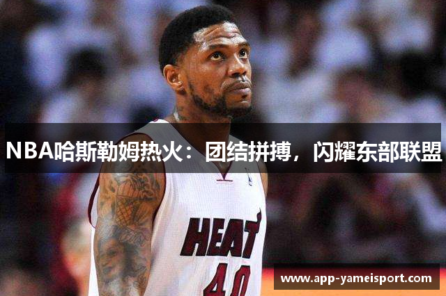 NBA哈斯勒姆热火：团结拼搏，闪耀东部联盟