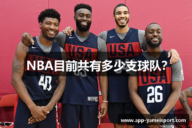 NBA目前共有多少支球队？